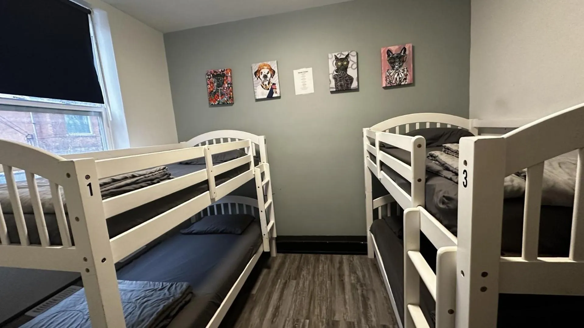 Queen Nest Hotel Toronto 2*,  Kanada