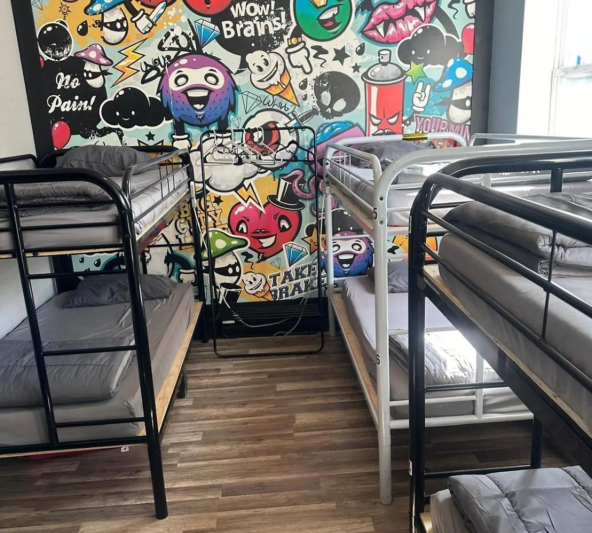 Queen Nest Hotel 多伦多 2*,  加拿大